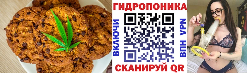 Canna-Cookies марихуана  KRAKEN как войти  Дмитровск  закладка 
