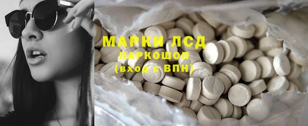 прущие грибы Бронницы
