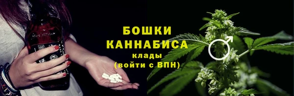 прущие грибы Бронницы