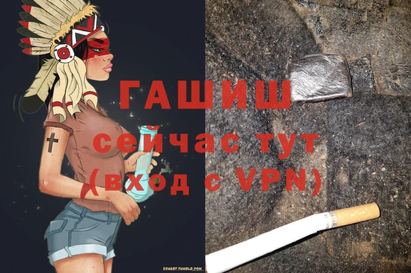 прущие грибы Бронницы