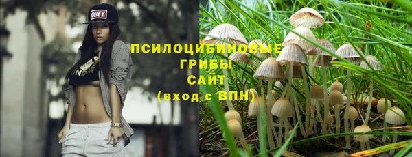 твердый Володарск