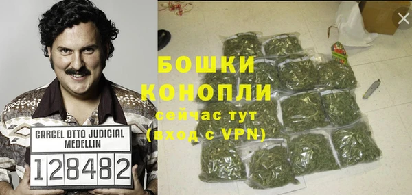молекула духа Бородино