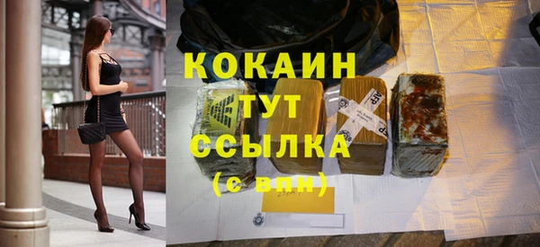 молекула духа Бородино