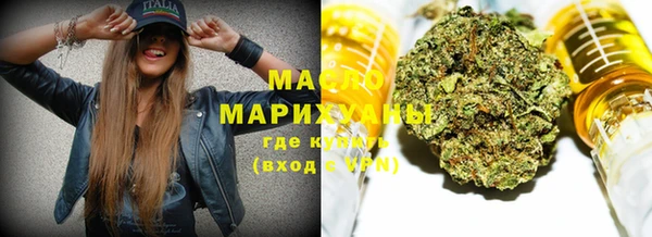 молекула духа Бородино
