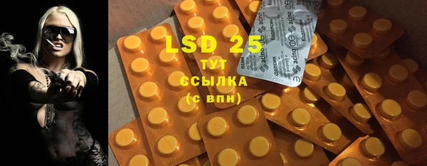 прущие грибы Бронницы