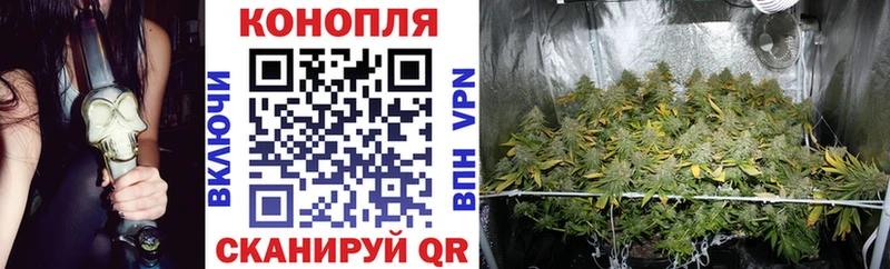 МАРИХУАНА White Widow Дмитровск
